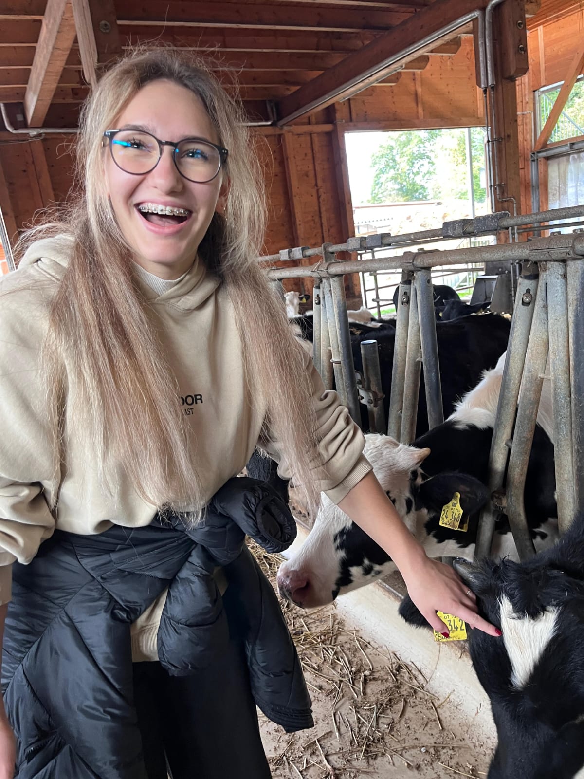 Chiara bei Kühen im Stall
